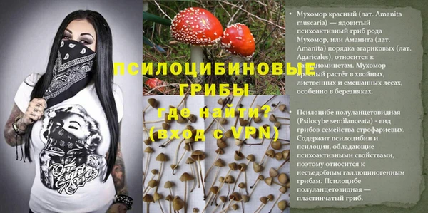 каннабис Абаза