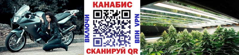 как найти закладки  Сычёвка  Бошки марихуана THC 21% 